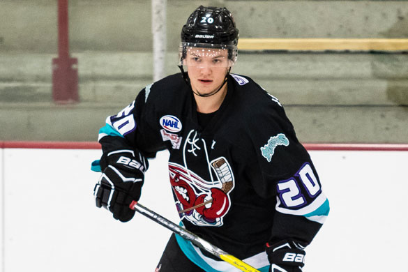 Eight Michigan natives win NAHL title with Shreveport Mudbugs