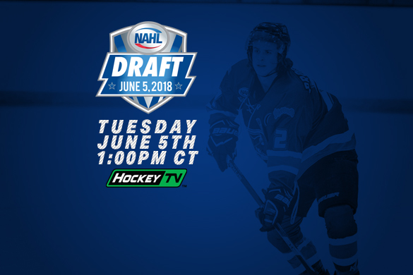 NAHL players enjoy monumental day at 2018 NHL Draft, North American Hockey  League