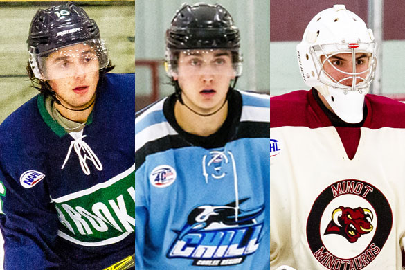 NAHL announces monthly player awards for January, North American Hockey  League