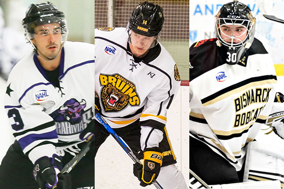 NAHL announces Top Prospects jersey auction, North American Hockey League