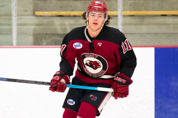 Corpus Christi forward DiMizio makes NCAA commitment, North American Hockey  League