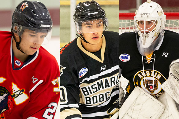 NAHL announces monthly player awards for November, North American Hockey  League