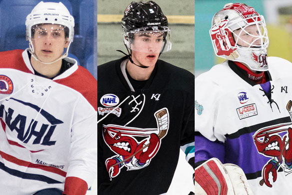 NAHL announces monthly player awards for January, North American Hockey  League