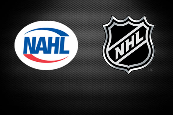 11 NAHL players recognized on NHL Mid-Term Rankings, North American Hockey  League