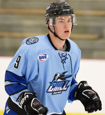 Coulee Region forward Dineen makes NCAA DI commitment, North American  Hockey League