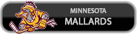 Minnesota Mallards